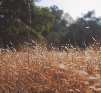 皇马再遭打击，惨遭挑战未能晋级