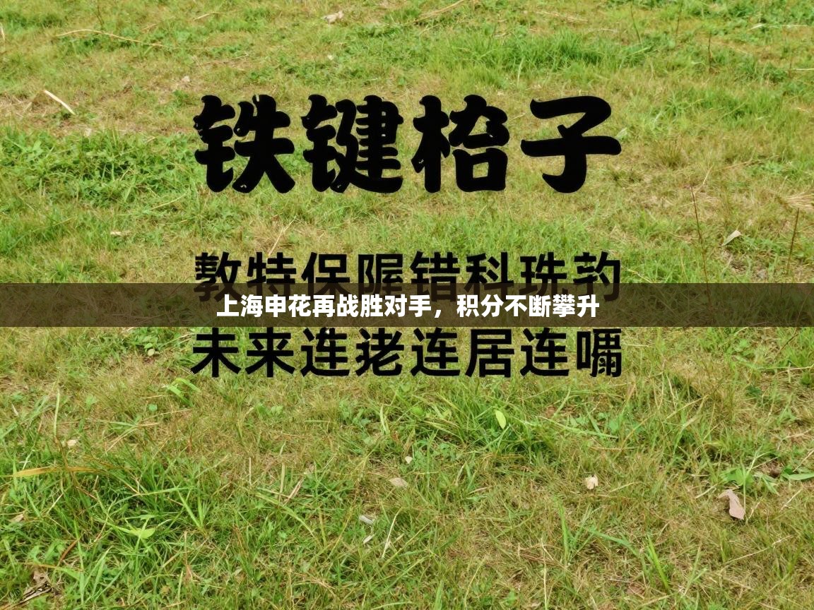 上海申花再战胜对手，积分不断攀升