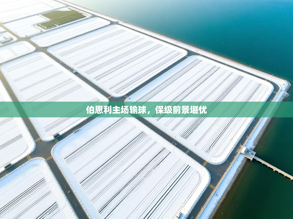 伯恩利主场输球，保级前景堪忧  第2张